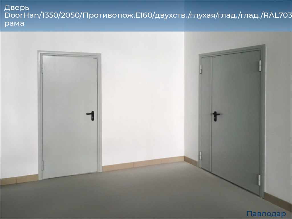 Дверь DoorHan/1350/2050/Противопож.EI60/двухств./глухая/глад./глад./RAL7035/прав./угл. рама, 