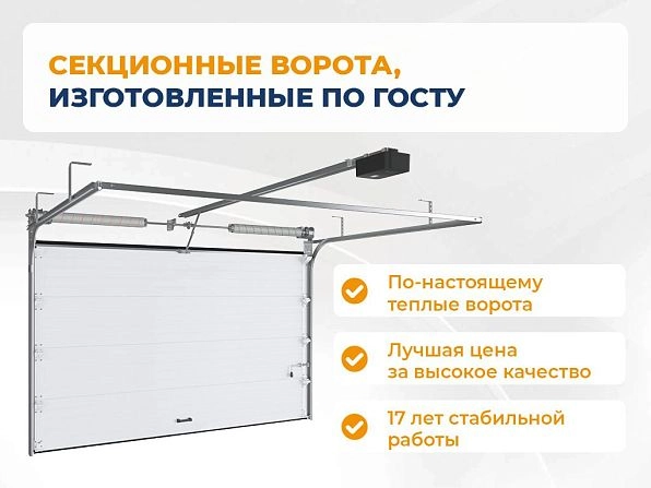 Секционные ворота 3300х2900 мм белые DoorHan RSD02, 
